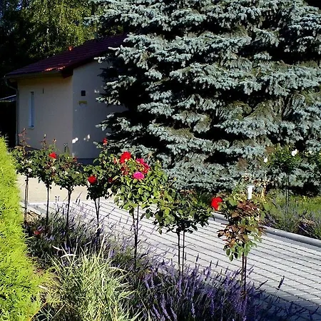 Hotel Zur Blautanne *